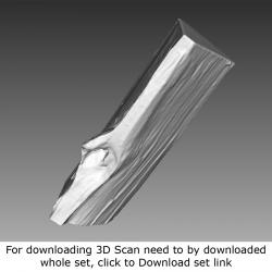 3D Scan of Log Wood #2